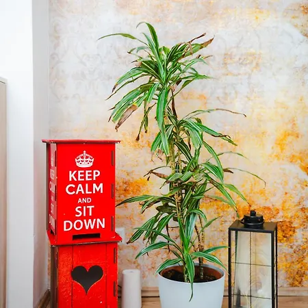 Apartmán Dortmunder Stadtoase Dortmund